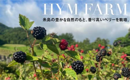 糸島産 ブルーベリー ＆ ブラックベリー ワイン 720ml×2種 セット 糸島市 / HYM FARM[AHM001]
