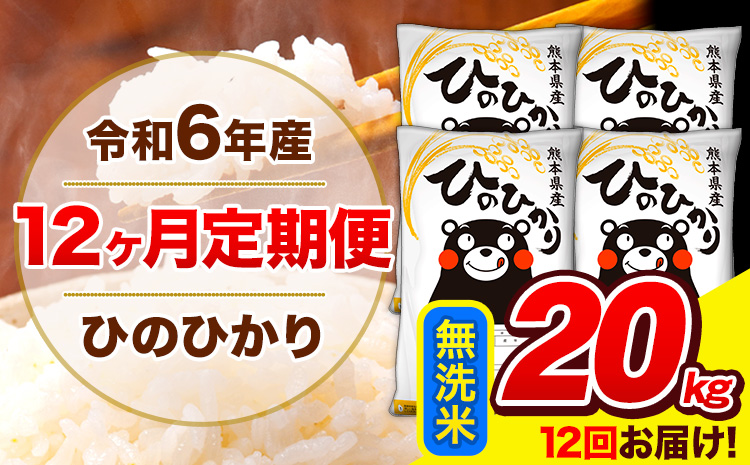 【12ヶ月定期便】 令和6年産 ひのひかり 無洗米  20kg (5kg×4袋) 計12回お届け 《お申し込み月の翌月から出荷開始》 熊本県産 無洗米 精米 ひの 米 こめ お米 熊本県 長洲町---hn6tei_702000_20kg_mo12_ng_m---