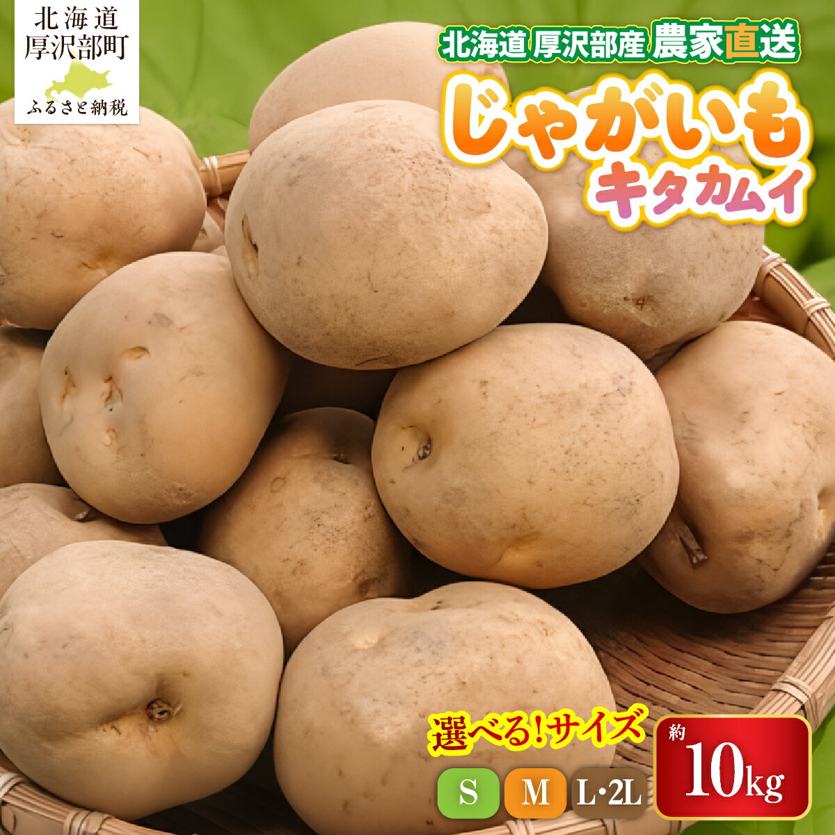 【ふるさと納税】【先行予約 令和8年9月発送】北海道厚沢部町産 キタカムイ 選べる 約10kg Sサイズ Mサイズ L・2Lサイズ じゃがいも ジャガイモ あっさぶ・ささき直売所 産地直送