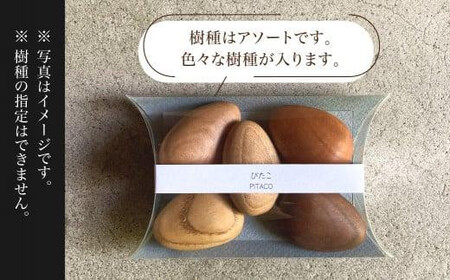 【高島屋選定品】ぴたこ5個セット | マグネット インテリア 雑貨 木製 キッチン ギフト 雉子舎 ATKJ025