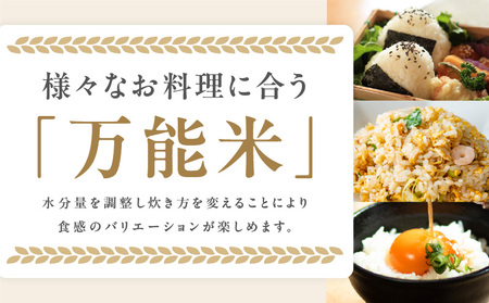 【先行予約】射手矢さんちのヒノヒカリ 白米 6kg