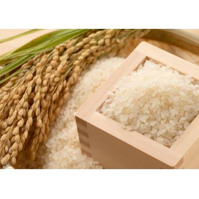 ふるさと納税 那賀町 那賀町相生産キヌヒカリ白米10kg |  | 01