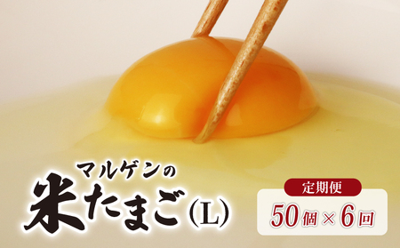 【 定期便 6回 】 卵 マルゲンの米たまご Lサイズ 50個