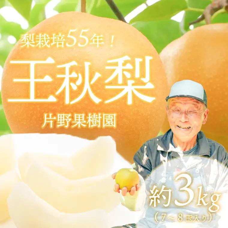王秋梨 約3kg 10月上旬発送  梨 先行受付