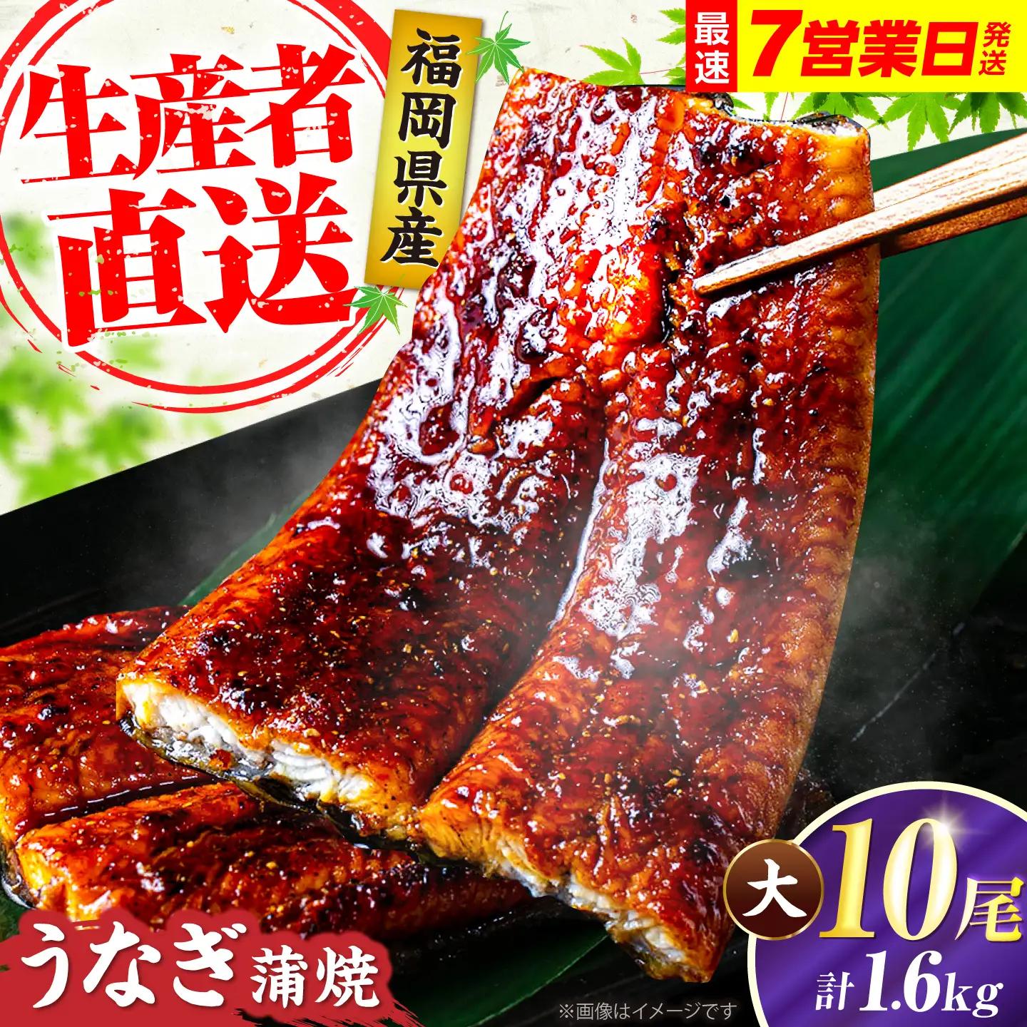うなぎ 蒲焼大10尾 うなぎ VAD026