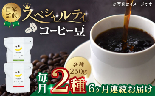 
【6回定期便】【豆のまま】自家焙煎 スペシャルティコーヒー 豆 （ 250g × 2種 ）約40杯分【かきやま果実】珈琲豆 深煎 中煎 コーヒー豆 焙煎 熊本 コーヒー豆定期 おうちカフェ [ZCJ016]
