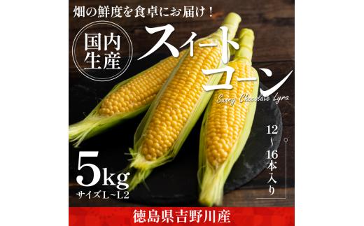 とうもろこし サニーショコラライラ 5kg 12～16本 極甘 スイートコーン コーン 生食用 野菜 やさい サラダ スープ コーンスープ 生 BBQ アウトドア 旬 朝採り 人気 お取り寄せ 先行予約 産地直送 期間限定 おすすめ 2025年5月発送予定