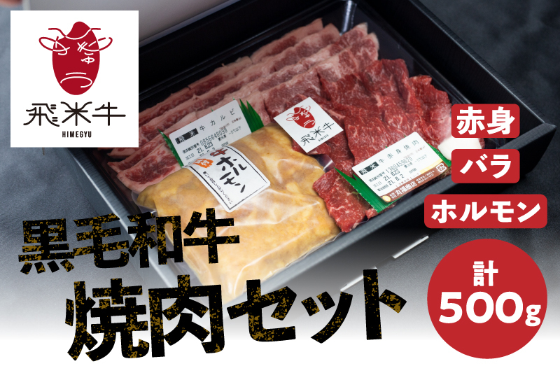 
                  ＜8月から寄附額改定＞《簡易包装》飛米牛 焼肉セット（合計500g）赤身・バラ肉 各150g　味付けホルモン200g　焼肉 BBQ バーベキュー
                