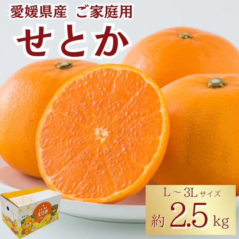 【2027年2月中旬より順次発送】せとか 約2.5kg L～3Lサイズ ご家庭用 バラ詰め｜B192