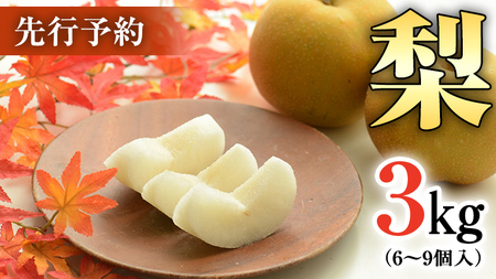 農園直送！おまかせ 梨 3kg 【7月下旬発送開始】 ナシ なし 果物 フルーツ デザート 秋  茨城県 はつまる 夏しずく 幸水 豊水 あきづき 恵水 甘太 にっこり