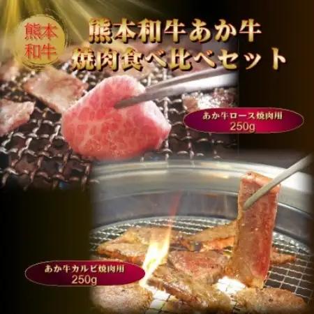 あか牛焼肉食べ比べ 500g(ロース250g、カルビ250g)(益城町)【配送不可地域：離島】【1734163】