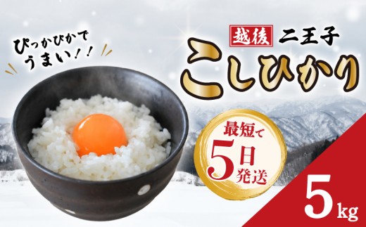 【ぴっかぴか！！】 米 新潟 越後 二王子こしひかり 5kg 令和7年産 コシヒカリ 米 精米 白米 ご飯 おにぎり お弁当 新潟県産 お米 こめ おすすめ うまい 米 贈答 こだわり 農家 新潟 川東 農事組合法人二王子 新潟県 新発田市 新発田 ninoji001