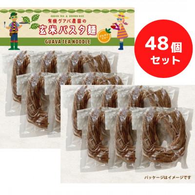 ふるさと納税 南国市 グアバ農園のグルテンフリーパスタ玄米麺　100g×48袋セット