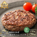 【ふるさと納税】淡路島玉ねぎと国産牛の生ハンバーグ150g×20個