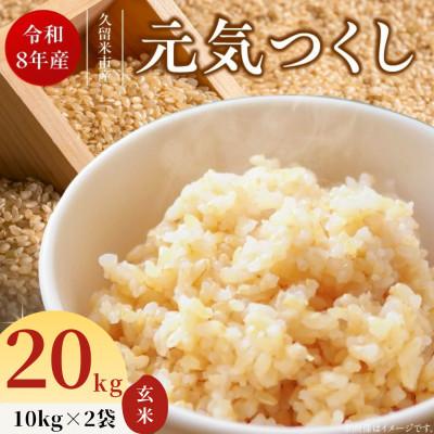 ふるさと納税 久留米市 先行予約【令和8年産】福岡県産ブランド米 元気つくし(玄米) 20kg(久留米市)