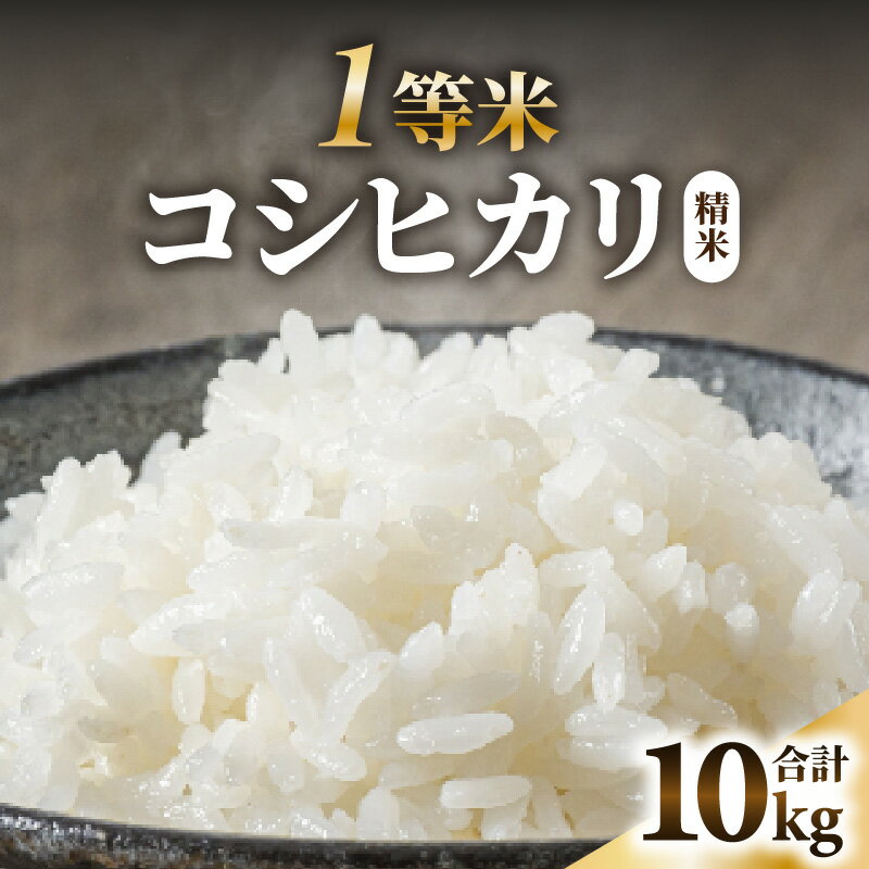 【ふるさと納税】【先行予約】【令和7年産】【一等米】コシヒカリ 精米 10kg ／ 米 10キロ 一等米 福井県産 ブランド米 ご飯 白米 お米 コメ 新鮮 新米 ※2025年10月上旬より順次発送