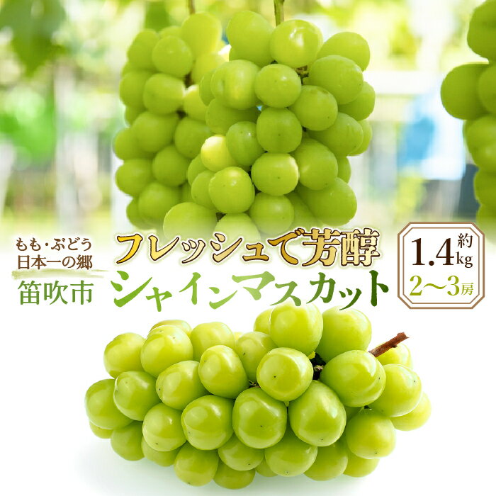 フレッシュで芳醇シャインマスカット 2〜3房 約1.4kg
