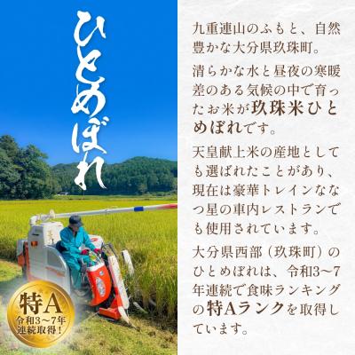 ふるさと納税 玖珠町 【令和8年度産】 米 ひとめぼれ 白米 5kg こめ コメ お米 ヒトメボレ ご飯 ライス |  | 01