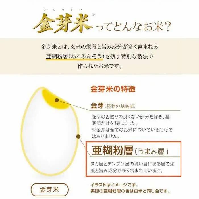BG 無洗米 金芽米 にこまる 10kg （5kg×2袋） 計量カップ無し 【価格改定XA】【30-SS-65-2】