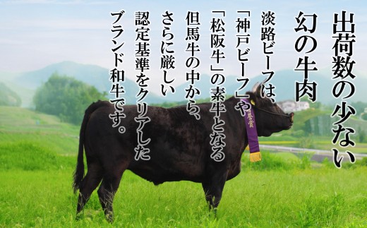 極上淡路ビーフ サーロインステーキ