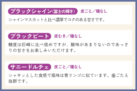 【2025年10月以降順次発送予】農家厳選！採れたてぶどうの詰合せ（品種おまかせ）
