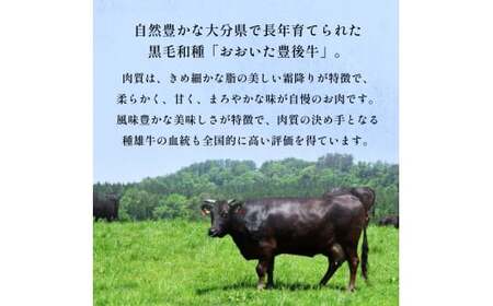おおいた豊後牛 黒毛和種 肩ロース 焼肉用 320g おおいた 豊後牛 黒毛和種 肩ロース 焼肉用 牛肉 和牛 霜降り 柔らかい まろやか 大分県 風味豊か 肉 お取り寄せ BBQ シンプル調理 伝統