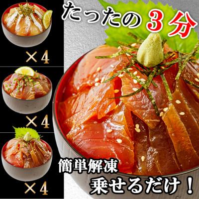 ふるさと納税 宇部市 【詰め合わせ】漬け丼 3種×4パック 計12食セット |  | 01