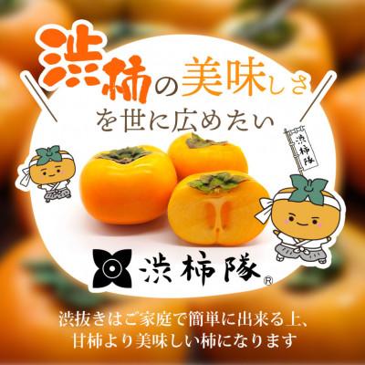 ふるさと納税 かつらぎ町 【先行予約】【訳あり】渋あり たねなし柿 約5kg 和歌山の柿農園「渋柿隊」 |  | 02