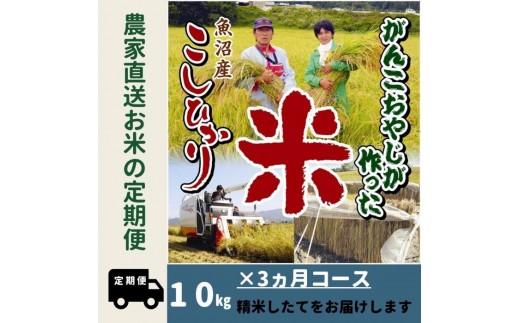 【令和8年産新米】３か月定期便　がんこおやじが作った南魚沼産コシヒカリ白米１０kg（５kg×２袋）【定期便 銘柄米 ブランド米 精米 こしひかり コシヒカリ 魚沼産 新潟米 産地直送 お米 米 こめ コメ ご飯 御飯】【2026年10月上旬より順次発送】