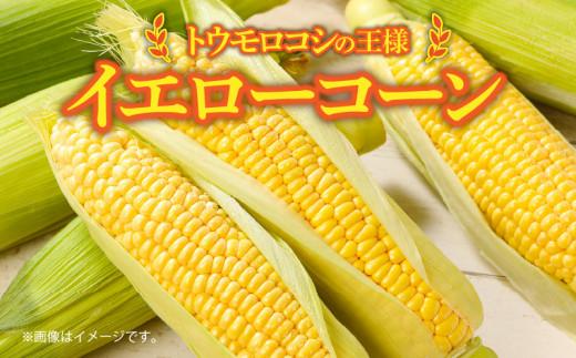 ＼寄附額改定／瀬戸内イエローコーン 約3kg【2026-6月上旬～2026-7月中旬配送】