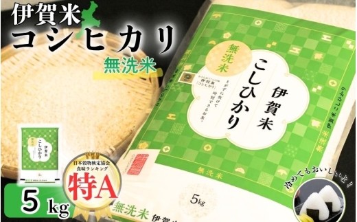 
                  令和7年産 無洗米 伊賀米コシヒカリ 5kg/ 伊賀米 コシヒカリ 無洗米 5kg 伊賀米コシヒカリ 無洗米コシヒカリ コシヒカリ無洗米 伊賀米無洗米 米 お米 白米 精米 令和7年産 三重県 伊賀市 伊賀 三重 伊賀産米 伊賀市産米 三重県産米 国産米 国産 無洗米5kg お米5kg 米5kg こしひかり ブランド米 伊賀産コシヒカリ 無洗米 米 伊賀米 コシヒカリ お米 【jaig0004】
                