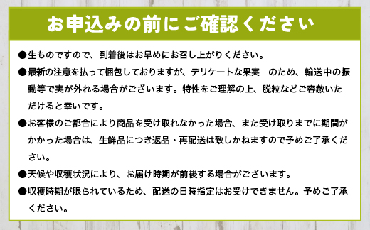 【早期予約】訳あり シャインマスカット 約1kg｜樹熟 粒 7パック 富山県産 マスカット ぶどう ブドウ 葡萄　※北海道・沖縄・離島への配送不可　※2024年10月上旬～12月下旬頃に順次発送予定