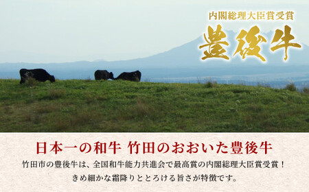年4回 定期便 おおいた 豊後牛 1ポンド エアーズロック極厚ステーキ 約454g