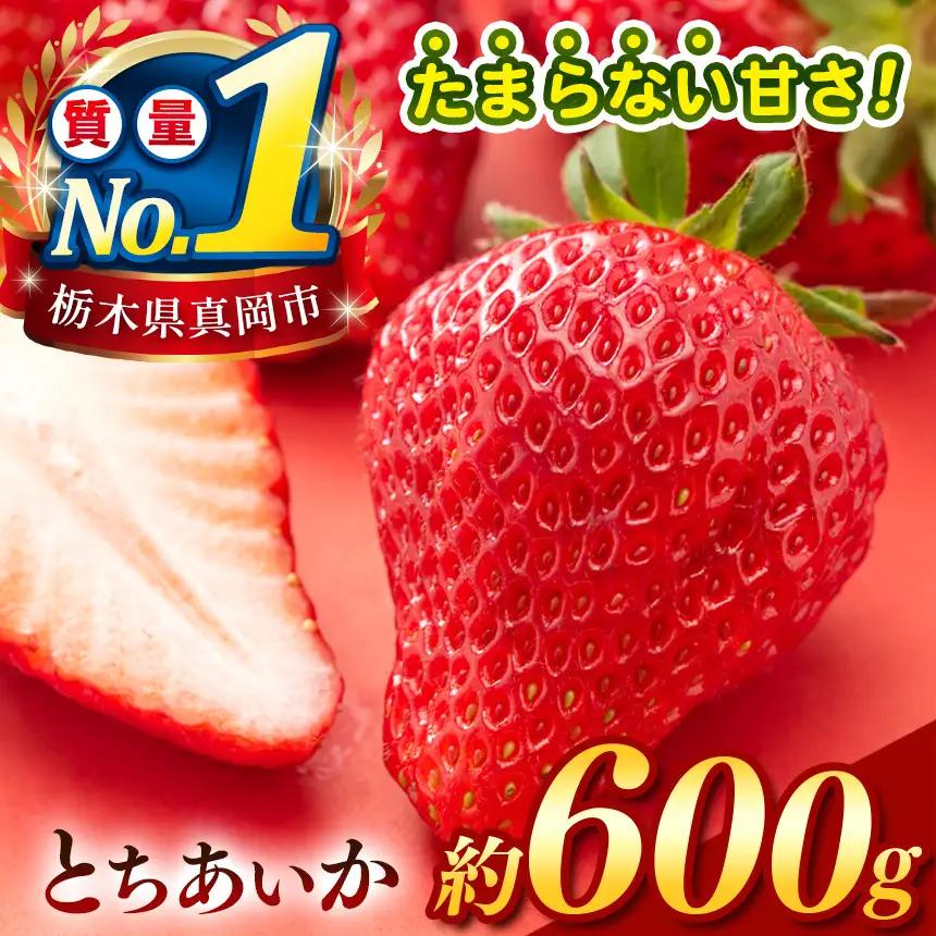 【2027年1～3月発送】【先行予約】 栃木のこでらんないイチゴ（とちあいか） 約300g×2