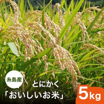 ふるさと納税 糸島市 とにかくおいしいお米  5kg 糸島市 シーブ [AHC021]