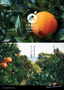 ＜特産品コンクール優秀賞受賞＞屋久島たんかんスライスママレード２個セット