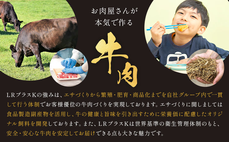 【連続6ヶ月定期便】鹿児島県産黒毛和牛ユッケ 計1.2kg 40g×5パック×6回 LRプラスK《お申し込みの翌月から出荷》鹿児島県 さつま町 鹿児島県産 黒毛和牛 ユッケ 生食用 小分け タレ付き 