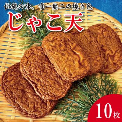 ふるさと納税 小松島市 じゃこ天 10枚 かまぼこ 揚げかまぼこ 天ぷら