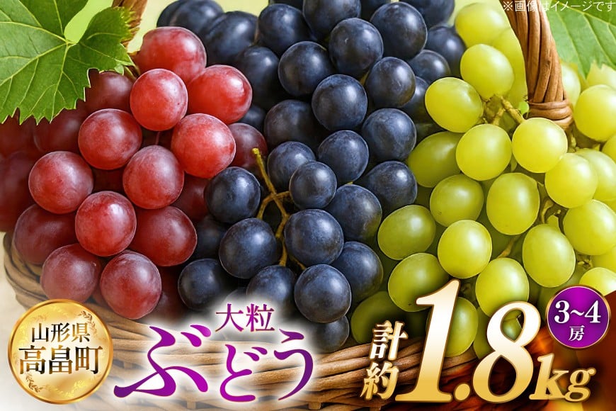 
                  【期間限定発送】 ぶどう 2～3色 約 1.8kg 詰め合わせ セット [JA山形おきたま 山形県 高畠町 tk06ays870056] シャインマスカット 葡萄 セット ブドウ 巨峰 ピオーネ クイーンニーナ ゴルビー 高尾 蔵王おとめ 大粒 農家直送 朝採れ 食べ比べ 1.8キロ
                