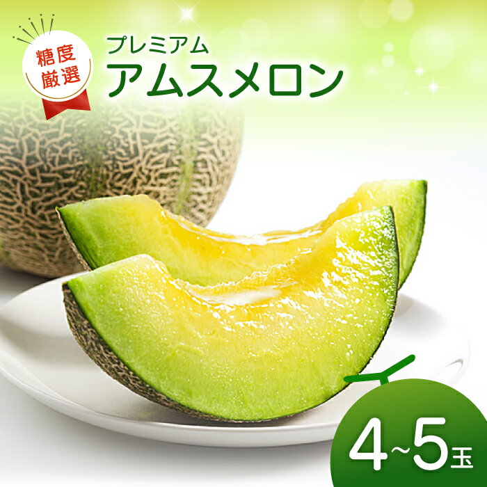 【ふるさと納税】〈先行予約〉 糖度厳選 プレミアム アムスメロン 4玉〜5玉 メロン 果物 くだもの フルーツ 季節限定 期間限定 早期予約 糖度16度以上