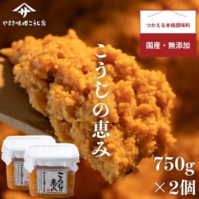 ふるさと納税 矢吹町 こうじの恵み　〜750g×2個〜