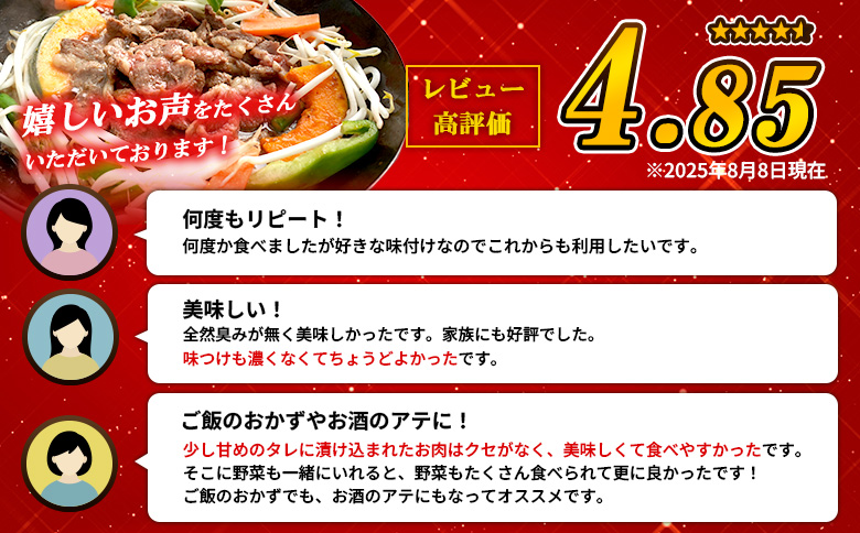 【定期便：全2回】 味付きジンギスカン 300g×2個 オンライン 申請 ふるさと納税 北海道 恵庭 ラム肉 ラム 味付き タレ 羊 羊肉 肉 お肉 ジンギスカン 焼肉 バーベキュー BBQ アウトド