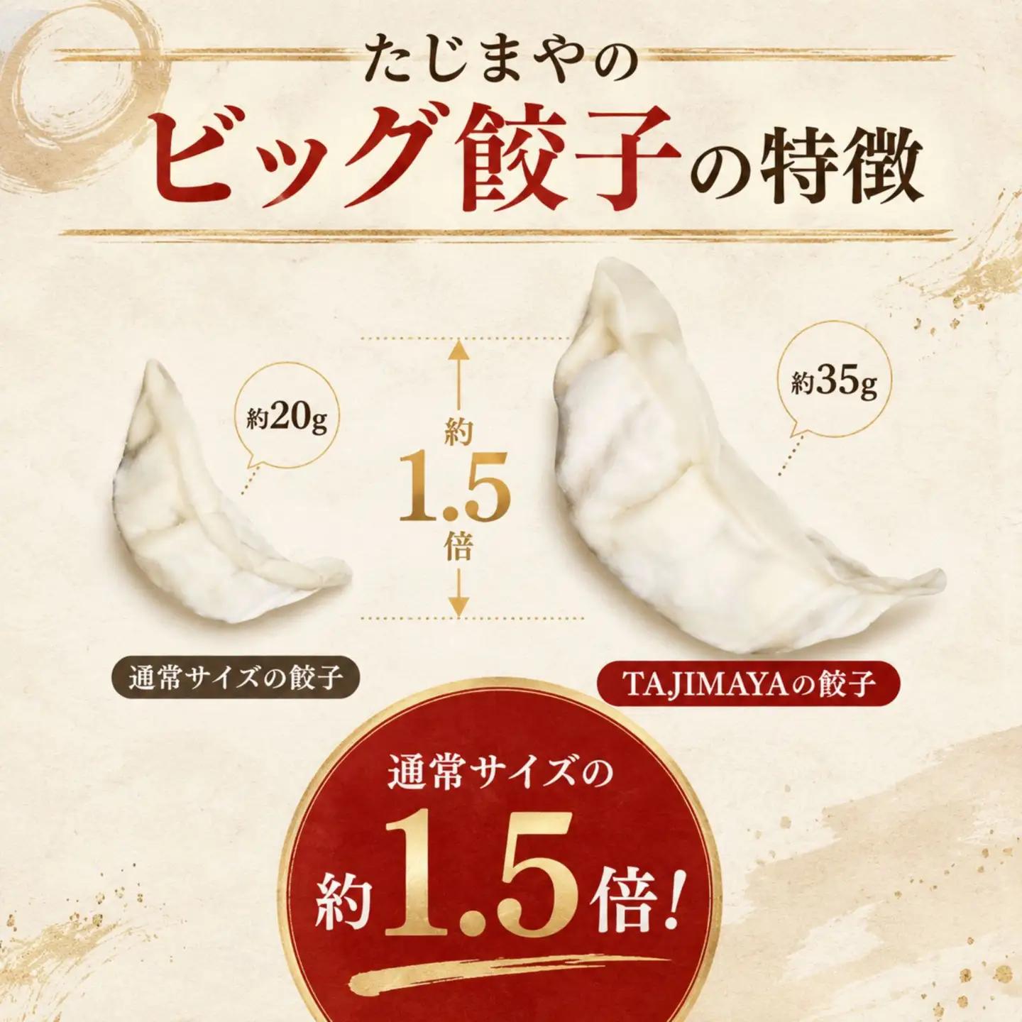【定期便3回】たじまや オリジナル ビッグ 餃子 200個