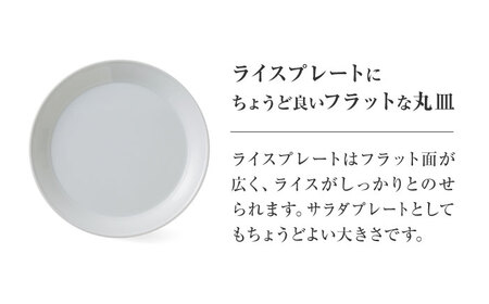 【美濃焼】 miyama.のカレーのうつわ スープのカレー皿 2点セット 白磁 プレート [AZCM059] プレート