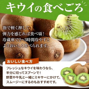 【先行予約】 先行予約！和歌山県産 秀品 キウイフルーツ 大玉15個入 こだわり農家厳選  【2026年12月中旬～2027年1月中旬頃に順次発送予定】【kgr021】