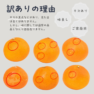 【12月上旬〜1月中旬発送】訳あり 愛果28号（紅まどんな と同品種）約2.5kg | 紅マドンナ と同品種 まどんな マドンナ 柑橘 果物 フルーツ あいか 愛果28号 みかん 松山市 愛媛県【HN