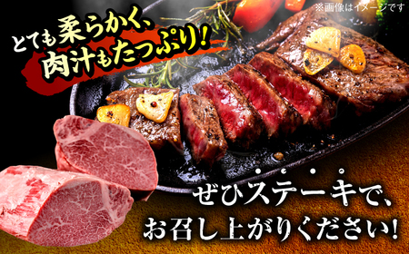【希少部位！】博多和牛 ヒレ ブロック 1kg ＜肉のくまもと屋＞那珂川市[GBI088]