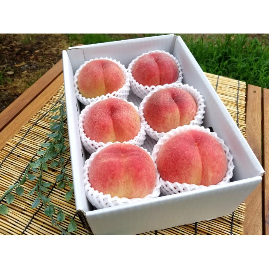 ＜菱沼農園＞旬の品種をお届け　福島の桃2kg相当(5～9玉)(M0061)
