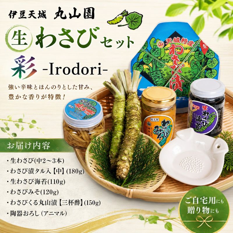 伊豆天城 丸山園 わさびセット 彩 セット 詰め合わせ わさ