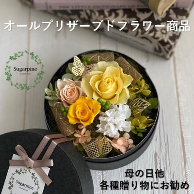 ふるさと納税 春日部市 シュガーパインのプリザーブドフラワーアレンジ【アムール/イエロー】春日部市